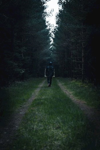 Обложка произведения "Anti-ghost"