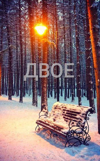 Обложка произведения Двое