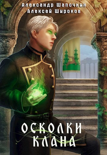 Наследник клана. Аудиокнига Игнис осколки клана. Широков а.в. 