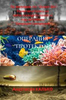 Обложка произведения Операция "Протектор"