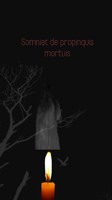 Обложка произведения Somniat de propinquis mortuis