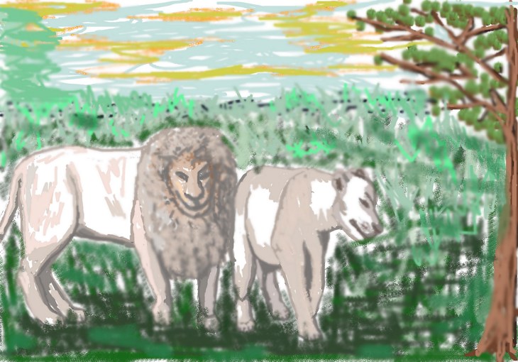 Иллюстрация