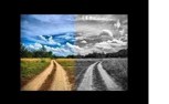 Обложка произведения Выбор