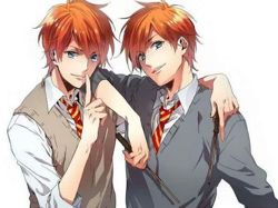 Мер и Кир, не нашла с...