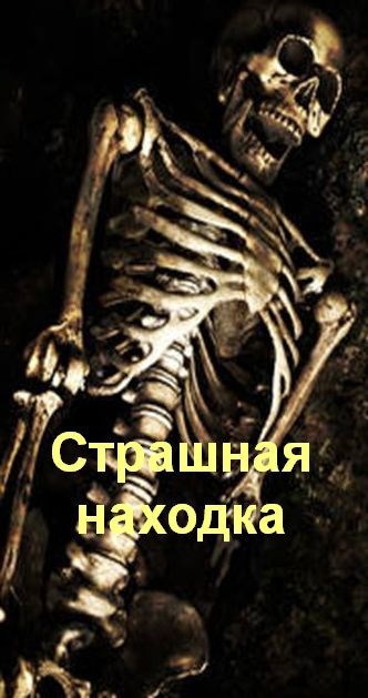 Обложка произведения Страшная находка