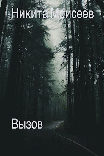 Обложка произведения Вызов