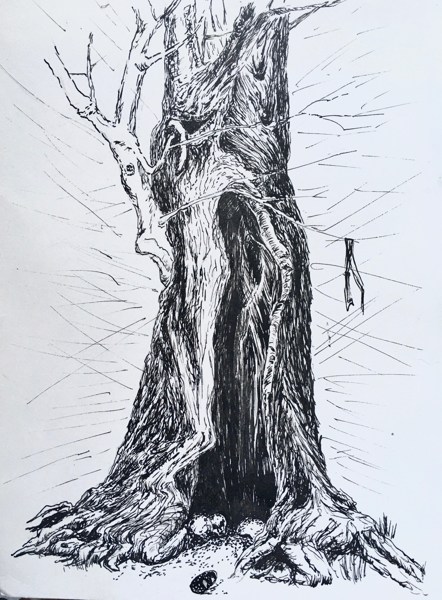 Иллюстрация