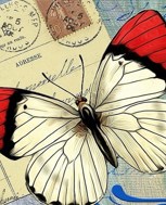 Обложка произведения Мёртвая бабочка