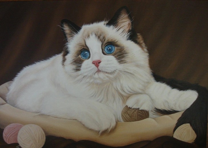 Иллюстрация