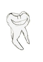 Обложка произведения Зуб