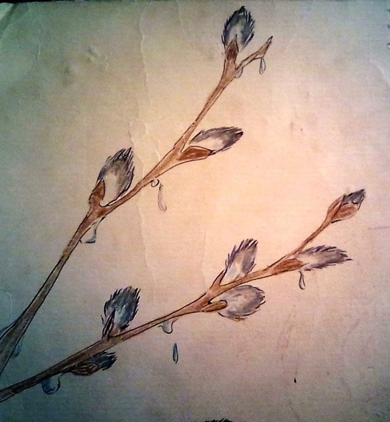 Иллюстрация