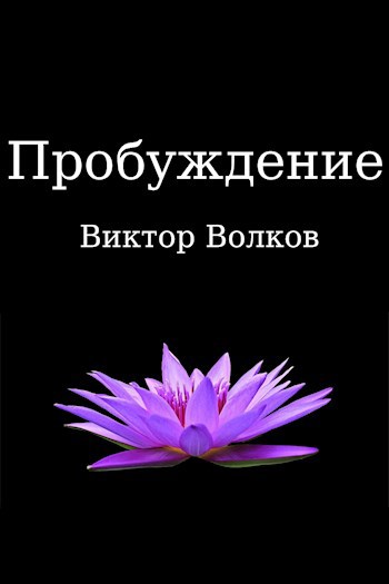 Произведение пробуждение. Пробуждение Виктора и Галины.