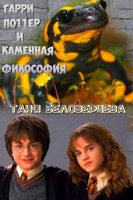Обложка произведения Гарри Поттер и каменная философия