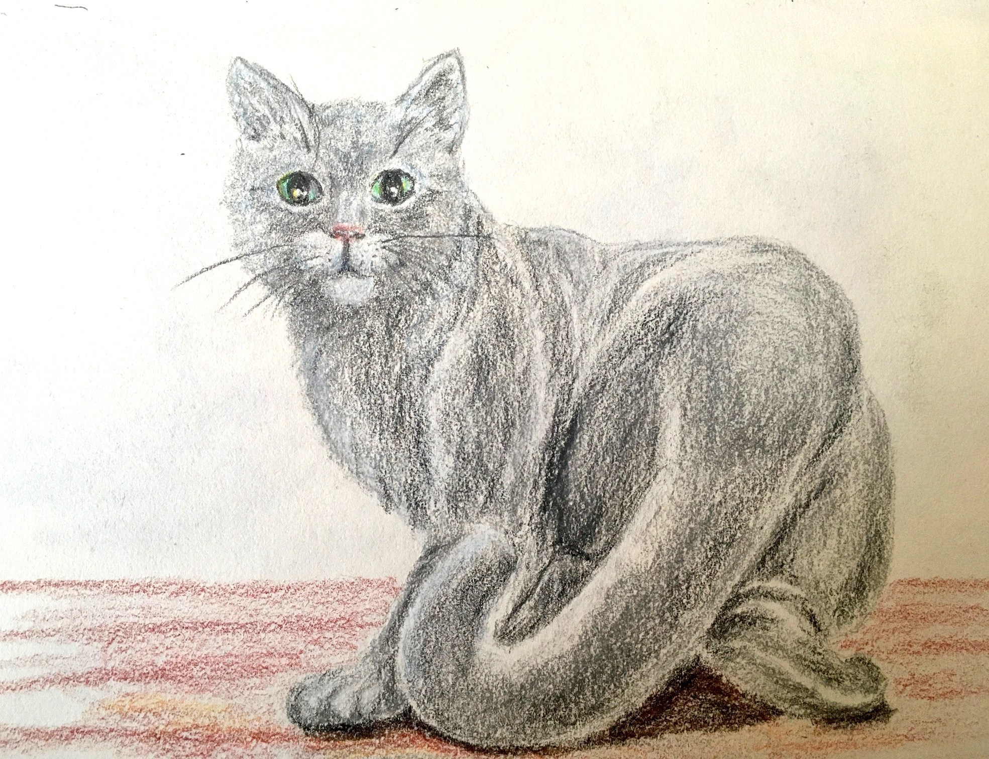 Кот с сереньким хвостом рисунок.