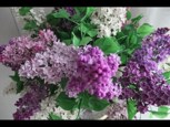 Обложка произведения "Осколки" Когда мне будет 64...