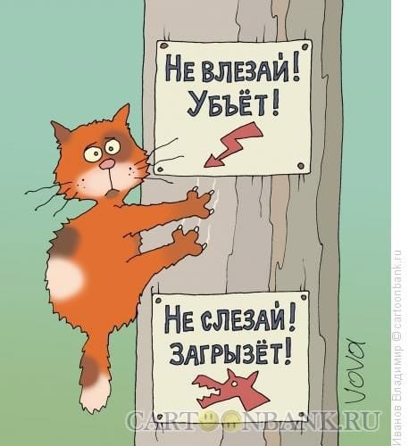 Обложка произведения Век свободы не видать!