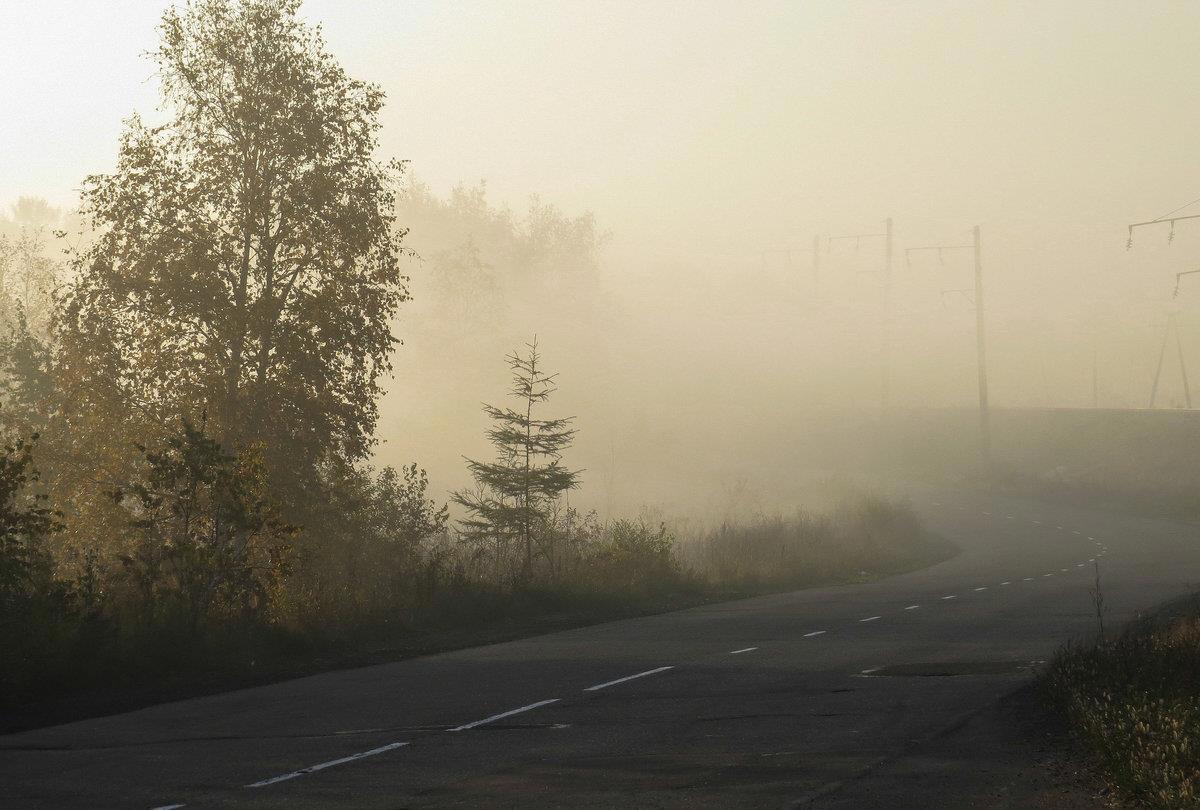 Условиях сильного тумана. Туман на трассе. Дорога в тумане. Туман в Подмосковье. Осенняя трасса туман.