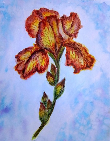 Иллюстрация