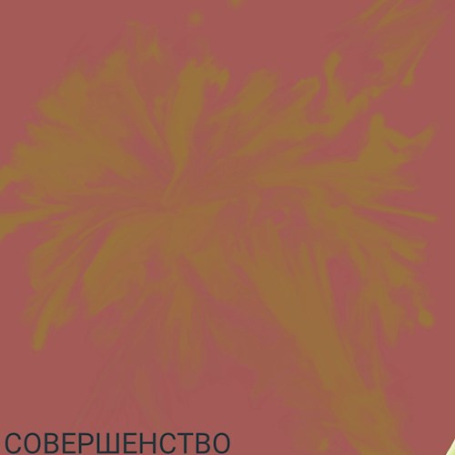Обложка произведения Совершенство