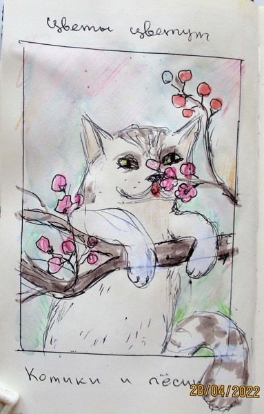 Иллюстрация