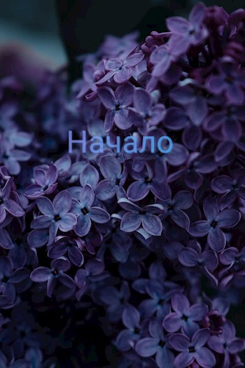 Обложка произведения Начало