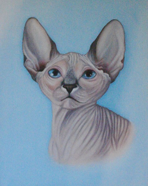 Иллюстрация