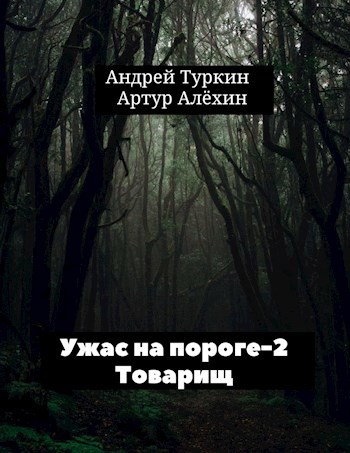 Андрей туркин ауди