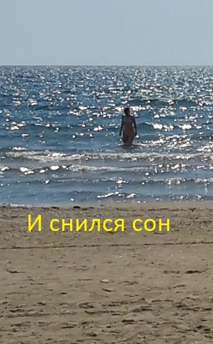 Обложка произведения И снился сон