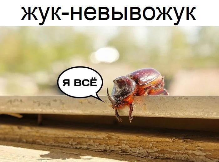 Что делать, если все надоедает?