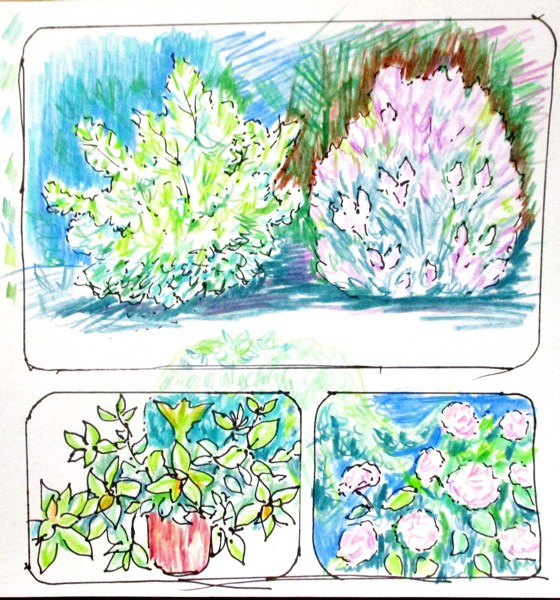 Иллюстрация