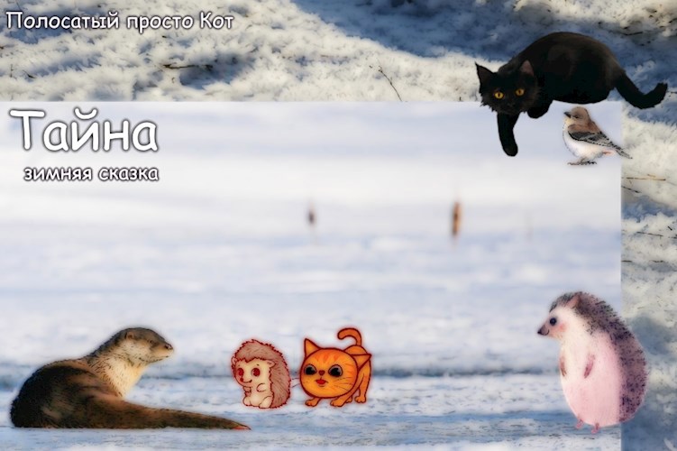 Обложка произведения Тайна