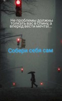 Обложка произведения Собери себя сам
