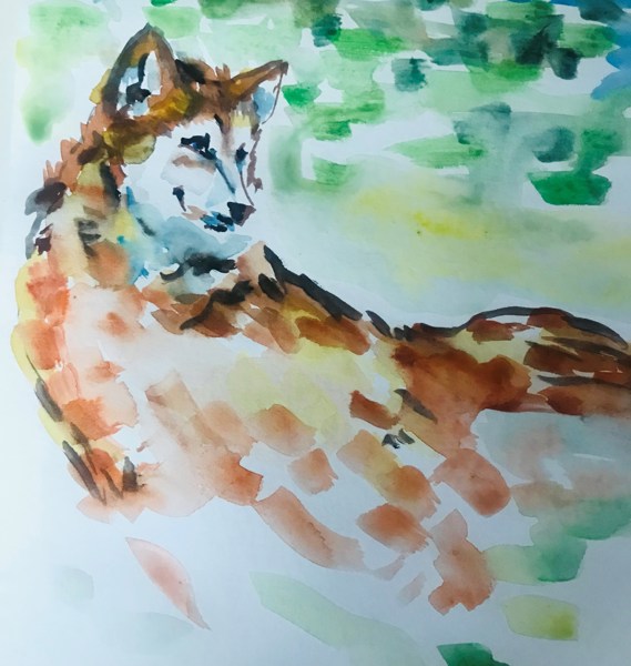 Иллюстрация