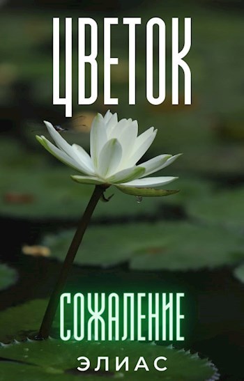Обложка произведения Цветок сожаление