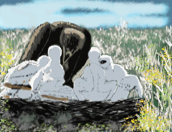 Иллюстрация