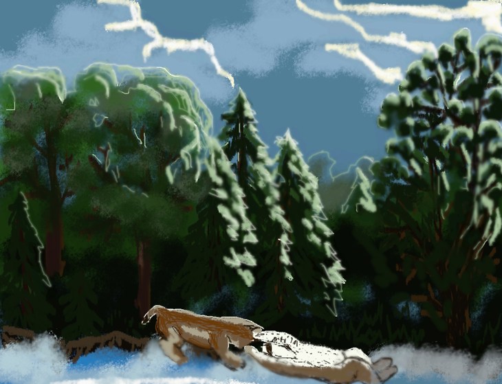 Иллюстрация