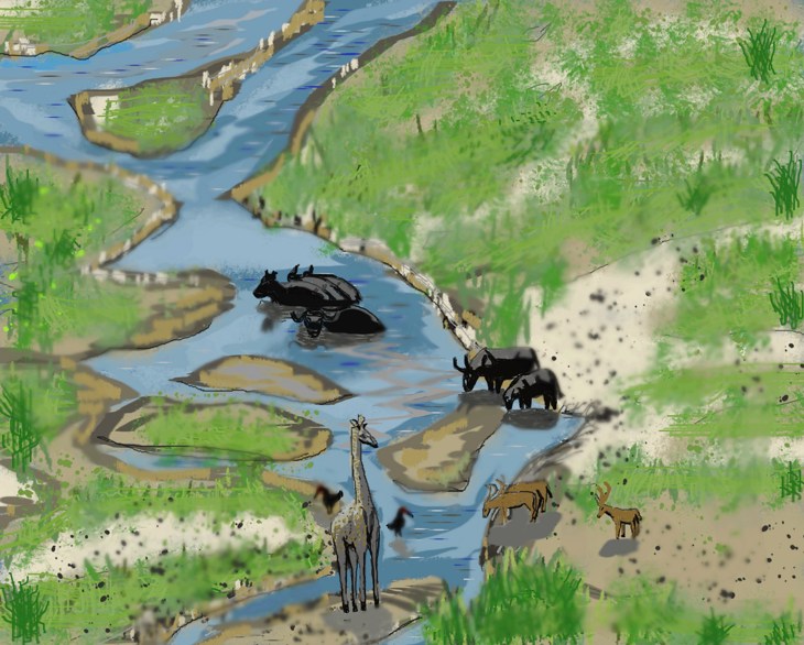 Иллюстрация