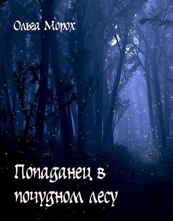 Обложка произведения Попаданец в почудном лесу.