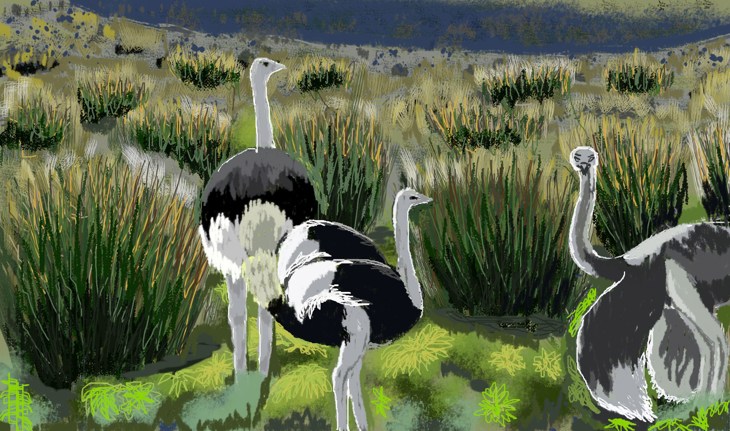 Иллюстрация