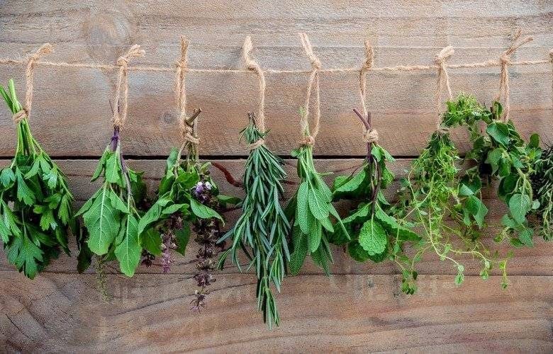 Обложка произведения Купало