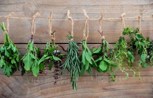 Обложка произведения Купало