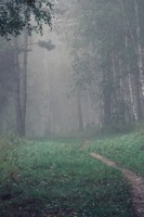 Обложка произведения Тень. Истинная история