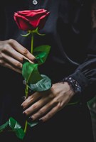 Обложка произведения Строчка за строчкой...