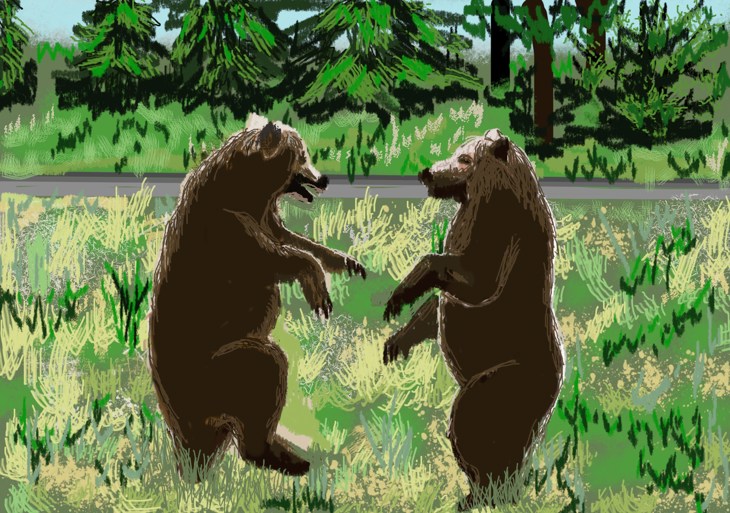 Иллюстрация