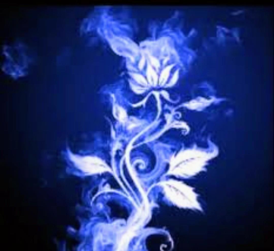 Синие розы и пламя