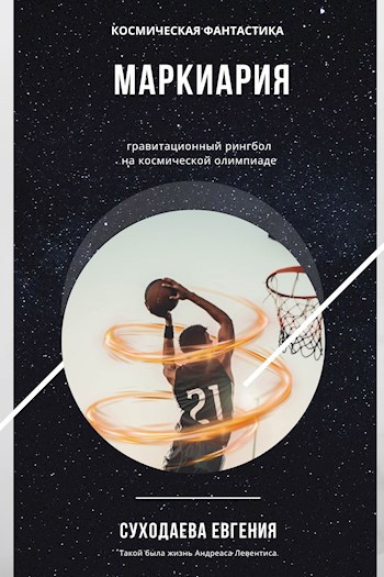 Обложка произведения Гравитационный рингбол