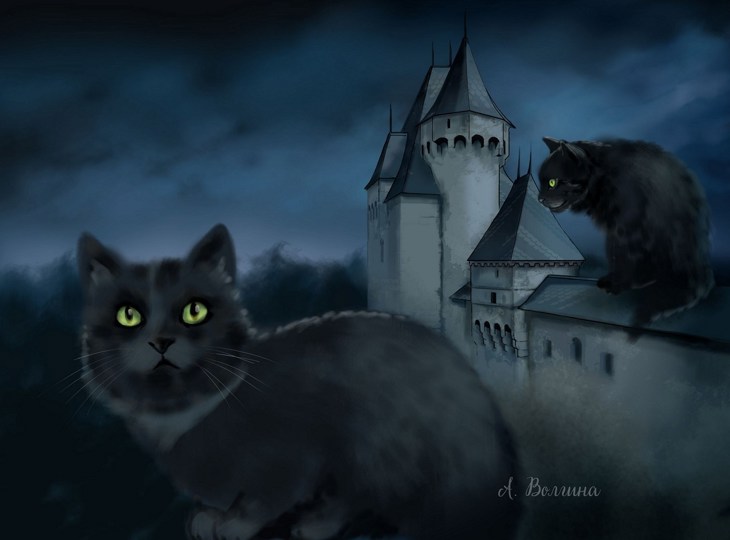 Иллюстрация