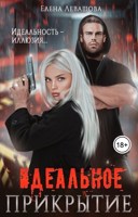 Обложка произведения Идеальное прикрытие