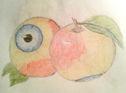 Глазные яблоки