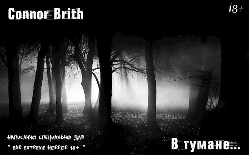 Обложка произведения В тумане..